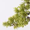 Faux Bonsai Artificial Bonsai Tree Indoor Simulation Plant Potted Ceramic Flowerpot Office Desk Indoor Artificial Plants for Living Room Desktop Potted Tree (Color : Black) view 3