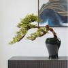 Faux Bonsai Artificial Bonsai Tree Indoor Simulation Plant Potted Ceramic Flowerpot Office Desk Indoor Artificial Plants for Living Room Desktop Potted Tree (Color : Black) view 4