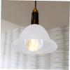 Zerodeko Decorative Glass Lampshade Holder for Home Lighting Easy to Install Compatible Shade for Ceiling Table and Floor Lamps Adds Warmth and Style to Any Room view 4