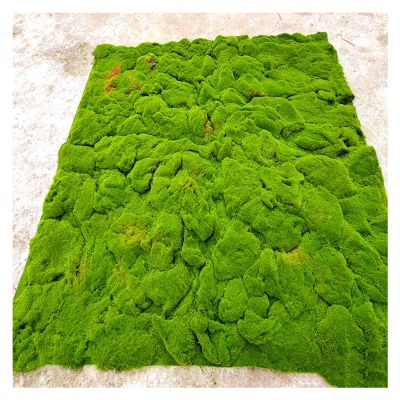 AYLYHD 3D Artificial Moss Mat Durable Simulation Plants Wall Decor for Mini Ornament Garden Doll HouseArtificial Grass Rug (Color : G, Size : 1x1m)
