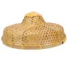 GANAZONO Woven Hat Asian Straw Hat Fancy Dress Vietnamese Japanese Straw Cone for Garden Farmer Fishing 36.5x14cm Yellow view 1
