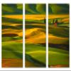 60 x 40 TOTAL - Palouse Wall Art Canvas Print 3 Panel Split Steptoe Butte State park, Washington farms view 2
