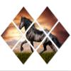 85 x 57 TOTAL - Black Stallion Horse Wall Art Canvas Print 7 Panel Butterfly split, Friesian Horse home wall decor view 1