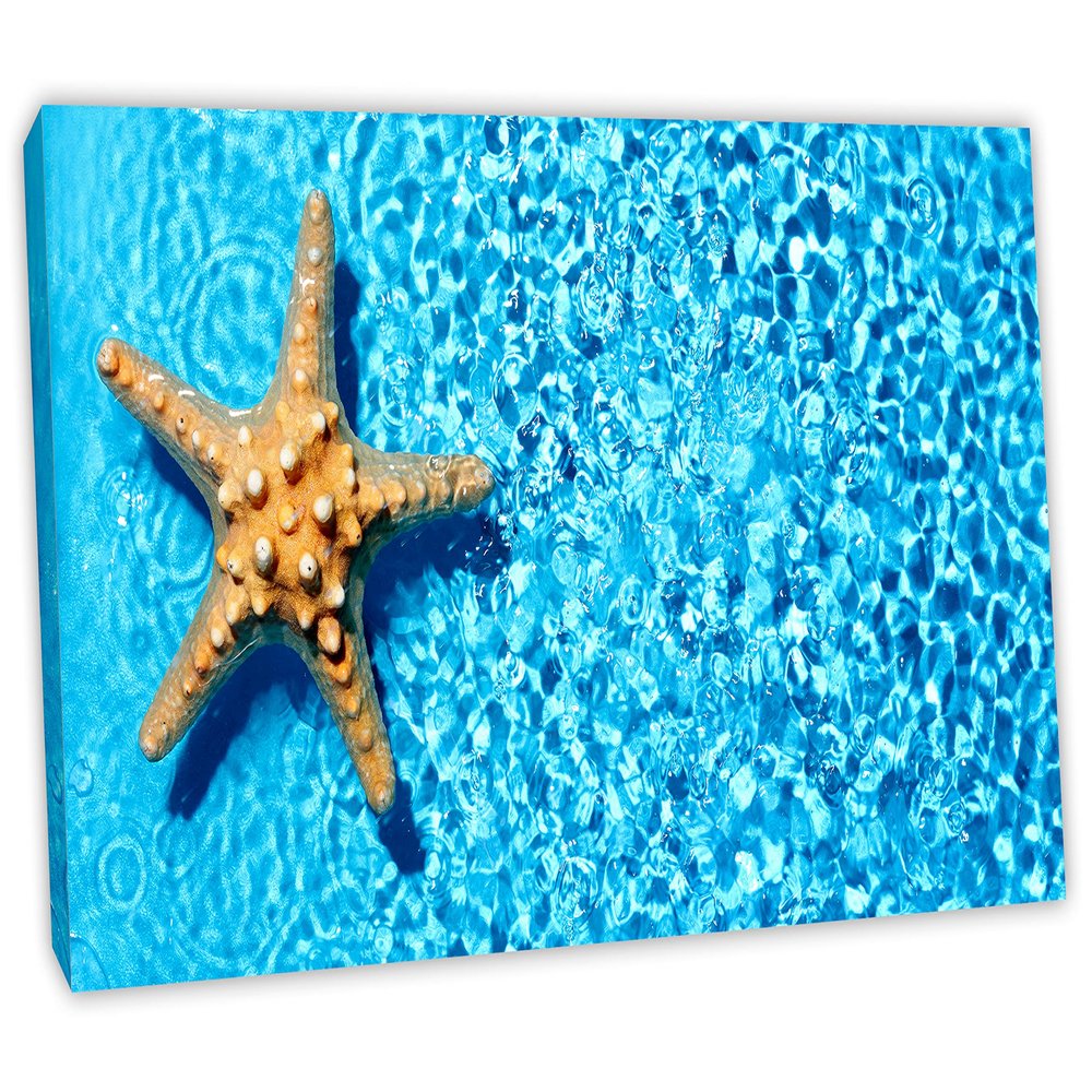 30 x 15 - Starfish in Blue water Canvas Print Wall Art for interior design, decor