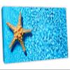 30 x 15 - Starfish in Blue water Canvas Print Wall Art for interior design, decor view 1