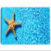 30 x 15 - Starfish in Blue water Canvas Print Wall Art for interior design, decor view 2