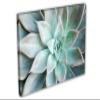 24 x 16 - Echeveria Succulent Canvas Print Wall Art light green botanical plant Art view 1