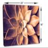 24 x 16 - Echeveria Succulent Canvas Print Wall Art orange purple botanical plant art view 3