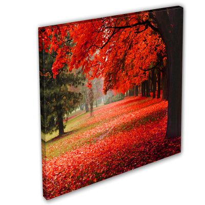 18 x 12 - Red Autumn Tree in the park - Canvas Print Wall Art