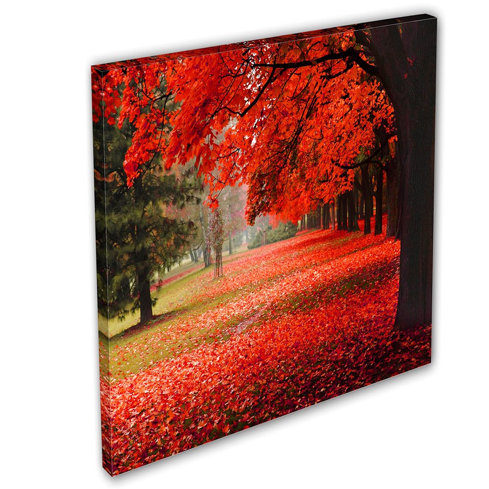 18 x 12 - Red Autumn Tree in the park - Canvas Print Wall Art