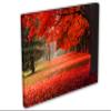 18 x 12 - Red Autumn Tree in the park - Canvas Print Wall Art view 1
