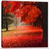 18 x 12 - Red Autumn Tree in the park - Canvas Print Wall Art view 2