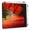 18 x 12 - Red Autumn Tree in the park - Canvas Print Wall Art view 3