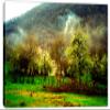 18 x 12 - Nature Green Forest Canvas Print Wall Art view 2