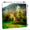 18 x 12 - Nature Green Forest Canvas Print Wall Art view 3