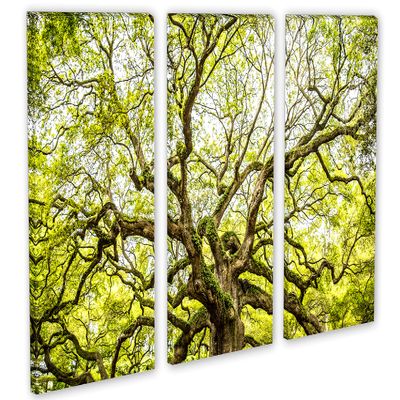 24 x 16 TOTAL - Green Angel Oak Tree Wall Art Canvas Print. 3 Panel Split, Triptych home decor, interior design