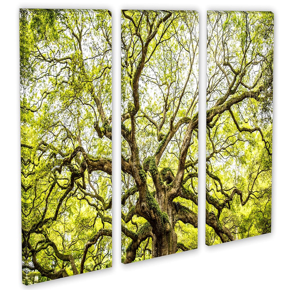 24 x 16 TOTAL - Green Angel Oak Tree Wall Art Canvas Print. 3 Panel Split, Triptych home decor, interior design