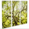24 x 16 TOTAL - Green Angel Oak Tree Wall Art Canvas Print. 3 Panel Split, Triptych home decor, interior design view 1
