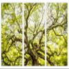 24 x 16 TOTAL - Green Angel Oak Tree Wall Art Canvas Print. 3 Panel Split, Triptych home decor, interior design view 2