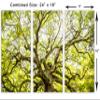 24 x 16 TOTAL - Green Angel Oak Tree Wall Art Canvas Print. 3 Panel Split, Triptych home decor, interior design view 3