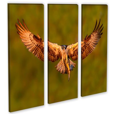 60 x 40 TOTAL - Osprey with salmon Canvas Print Wall Art - 3 panel split, Triptych. Bird of prey Art Home Wall Decor