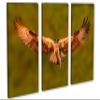 60 x 40 TOTAL - Osprey with salmon Canvas Print Wall Art - 3 panel split, Triptych. Bird of prey Art Home Wall Decor view 1