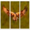 60 x 40 TOTAL - Osprey with salmon Canvas Print Wall Art - 3 panel split, Triptych. Bird of prey Art Home Wall Decor view 2