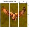 60 x 40 TOTAL - Osprey with salmon Canvas Print Wall Art - 3 panel split, Triptych. Bird of prey Art Home Wall Decor view 3
