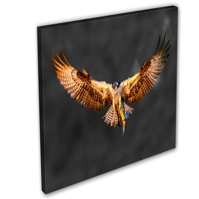 36 x 24 - Osprey Salmon Catch Canvas Print Wall Art. Bird of prey Art Home Wall Decor - Dark BG