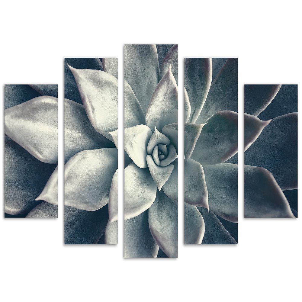 80 x 42 TOTAL - Echeveria Succulent Canvas Print Wall Art dark teal 5 Panel Diamond Split botanical plant wall art