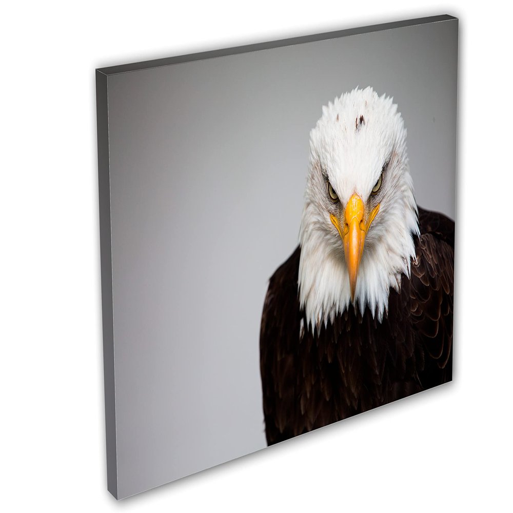 48 x 32 - Bald Eagle Portrait Canvas Print Wall Art, Home Wall Decor interior design