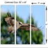 60 x 40 TOTAL - Osprey In Flight Canvas Print Wall Art - 3 panel split, Triptych. Bird Art Home Wall Decoration view 3