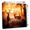 48 x 32 - Two Red deer in morning sun Canvas Print Wall Art view 3