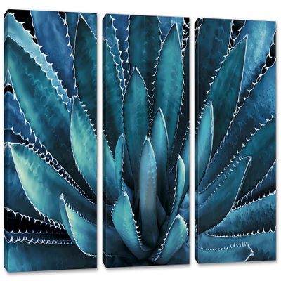 30 x 20 TOTAL - Agave Plant Canvas Print Wall Art Aegean Blue 3 Panel Split Botanical Art, tequilana plant