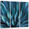 30 x 20 TOTAL - Agave Plant Canvas Print Wall Art Aegean Blue 3 Panel Split Botanical Art, tequilana plant view 1