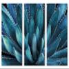 30 x 20 TOTAL - Agave Plant Canvas Print Wall Art Aegean Blue 3 Panel Split Botanical Art, tequilana plant view 2