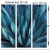 30 x 20 TOTAL - Agave Plant Canvas Print Wall Art Aegean Blue 3 Panel Split Botanical Art, tequilana plant view 3