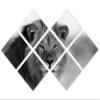 85 x 57 TOTAL - African Lion Black & White, Blue eyes Canvas Print 7 Panel Butterfly Split Wall Art. wall decor view 1