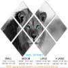 85 x 57 TOTAL - African Lion Black & White, Blue eyes Canvas Print 7 Panel Butterfly Split Wall Art. wall decor view 2