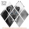 85 x 57 TOTAL - African Lion Black & White, Blue eyes Canvas Print 7 Panel Butterfly Split Wall Art. wall decor view 3