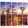 90 x 60 TOTAL - Baobab trees Wall Art Canvas Print at sunset 5 Panel Split Madagascar Trees Landscape Art view 1