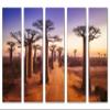 90 x 60 TOTAL - Baobab trees Wall Art Canvas Print at sunset 5 Panel Split Madagascar Trees Landscape Art view 2
