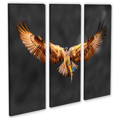 60 x 40 TOTAL - Osprey Salmon Catch Canvas Print Wall Art 3 panel split, Triptych. Bird of prey Art Wall Decor -Dark