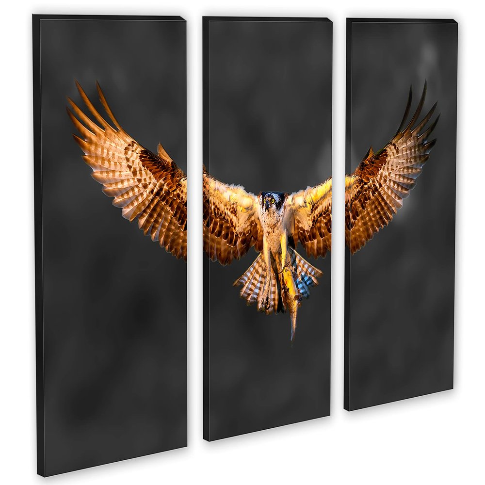 60 x 40 TOTAL - Osprey Salmon Catch Canvas Print Wall Art 3 panel split, Triptych. Bird of prey Art Wall Decor -Dark