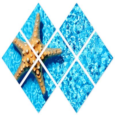 102 x 68 TOTAL - Starfish in Blue water Canvas Print - 7 Panel Butterfly Split Wall Art for interior design, decor