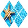 102 x 68 TOTAL - Starfish in Blue water Canvas Print - 7 Panel Butterfly Split Wall Art for interior design, decor view 1