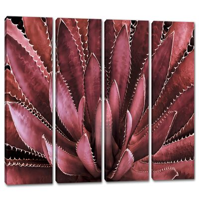 32 x 20 TOTAL - Agave Plant Canvas Print Wall Art burgundy 4 Panel Split Botanical Art, tequilana plant