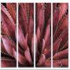 32 x 20 TOTAL - Agave Plant Canvas Print Wall Art burgundy 4 Panel Split Botanical Art, tequilana plant view 2