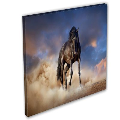 24 x 16 - Stallion Black Horse Wall Art Canvas Print, Horse Art home wall horse decor