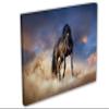 24 x 16 - Stallion Black Horse Wall Art Canvas Print, Horse Art home wall horse decor view 1